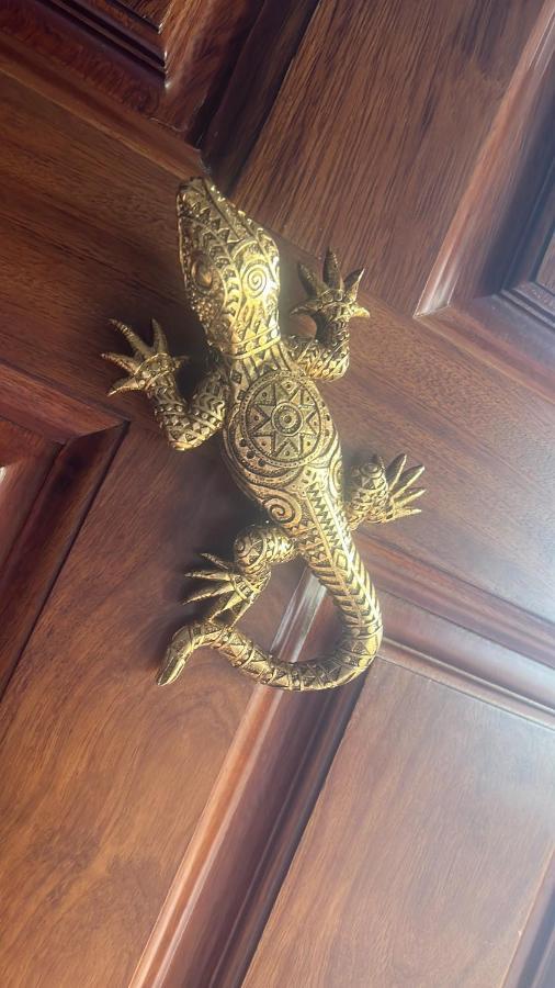 Salamandra Карбонерас Экстерьер фото
